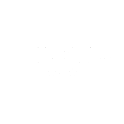Caleres Inc Share Price